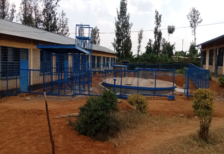 Rain water harvesting